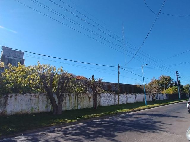 place photo 8
