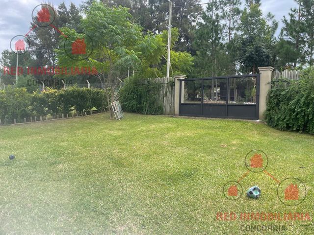 place photo 23