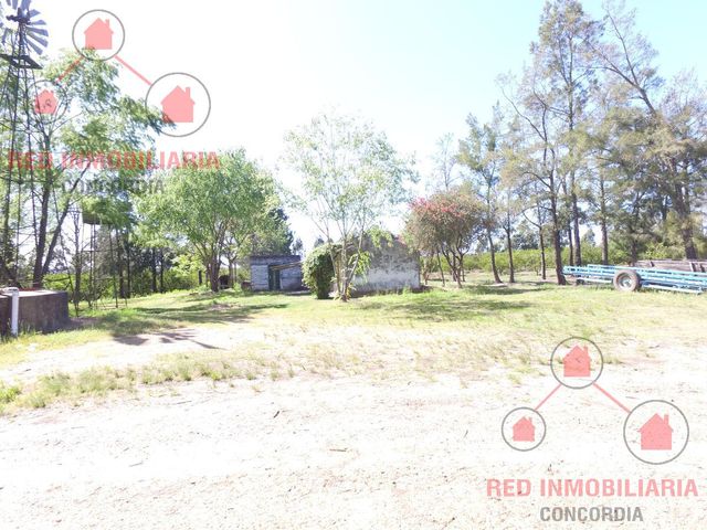 place photo 42