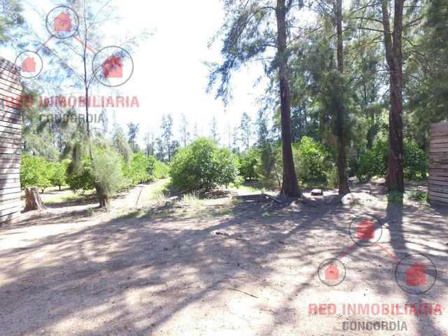 place photo 36