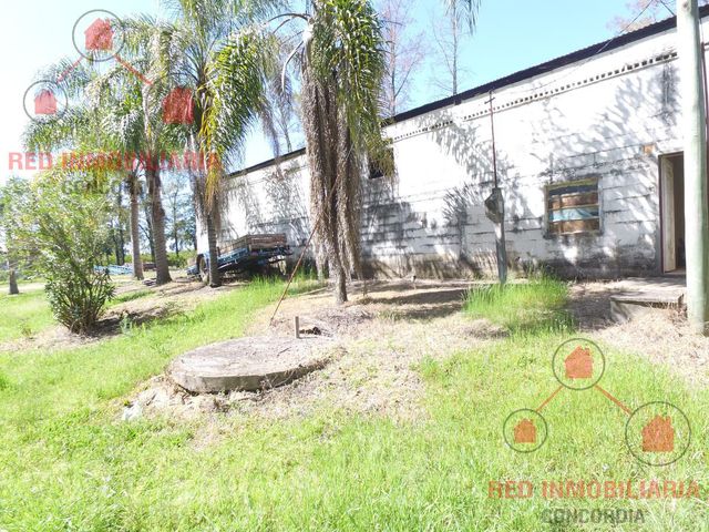 place photo 39