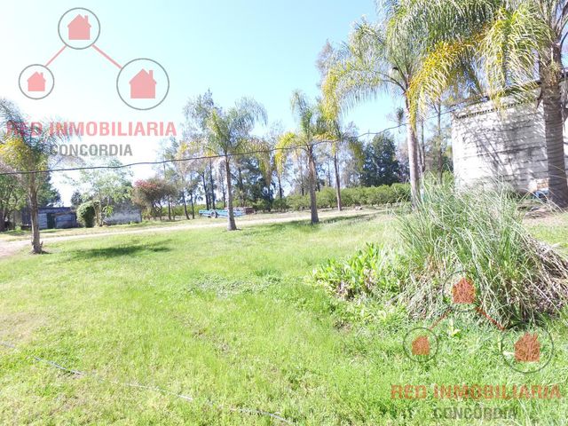 place photo 40