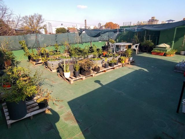 place photo 44