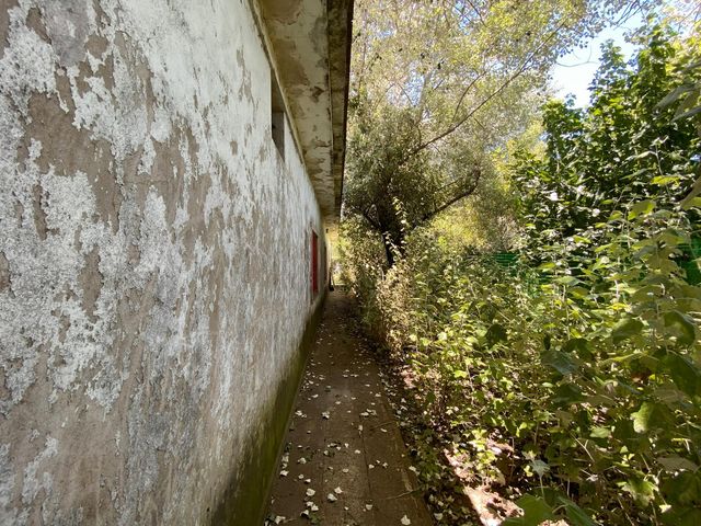 place photo 41
