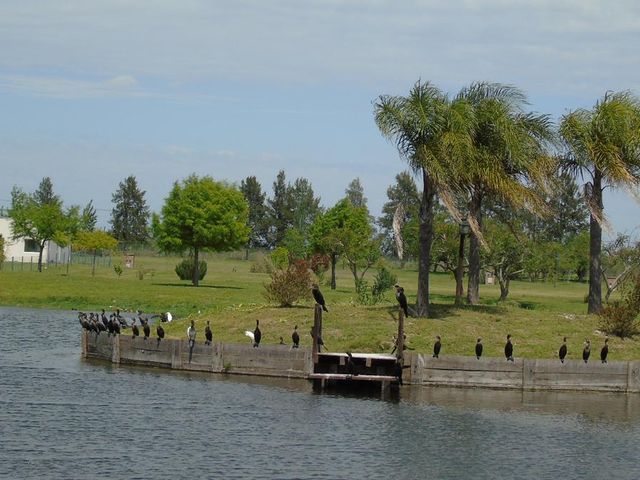 place photo 22