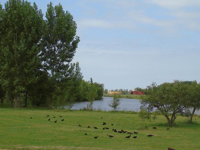 place photo 24