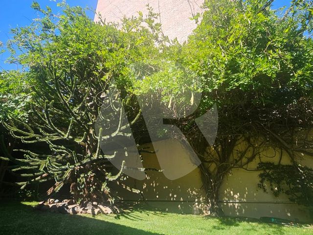 place photo 46