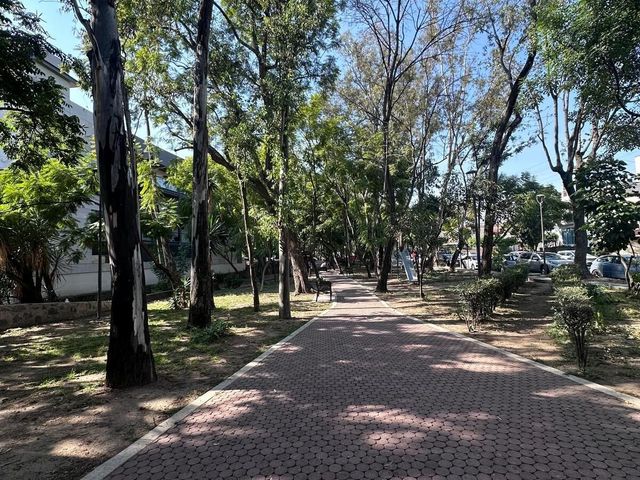 place photo 22