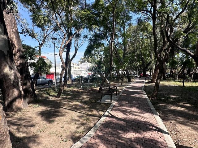 place photo 23