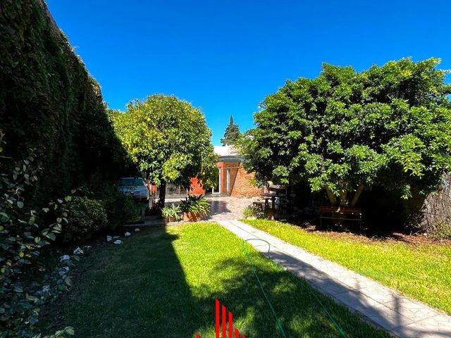place photo 28