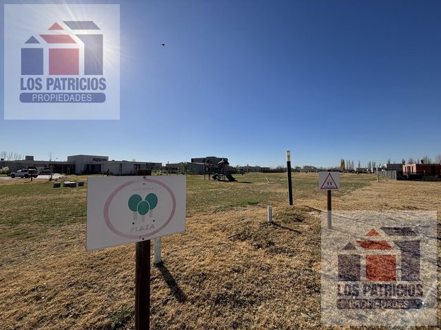 place photo 46