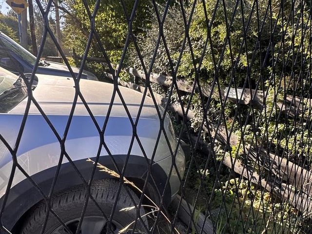 place photo 40