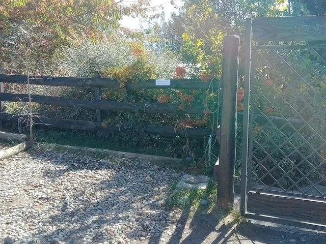 place photo 47