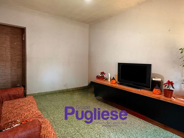 place photo 17