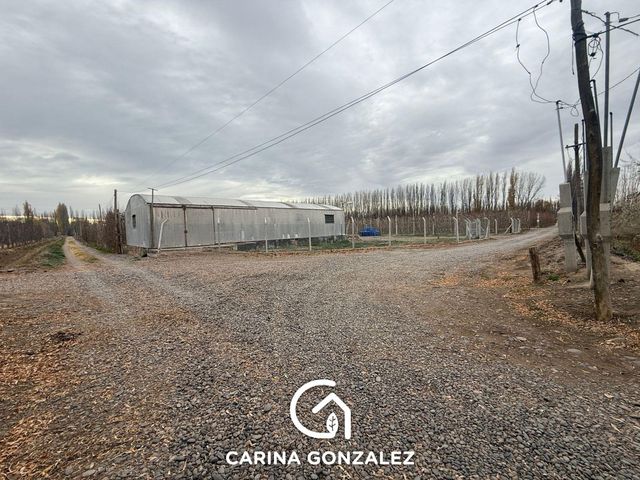 place photo 15