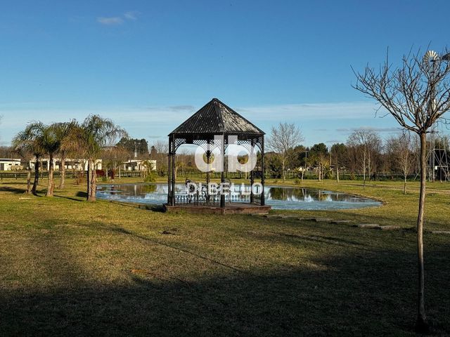 place photo 30