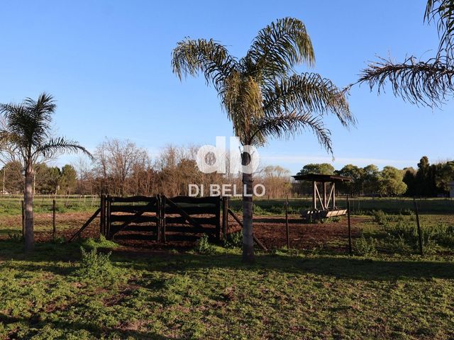 place photo 31