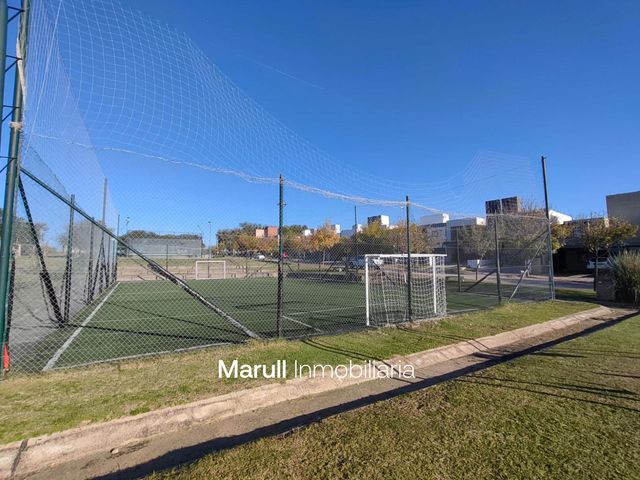 place photo 28