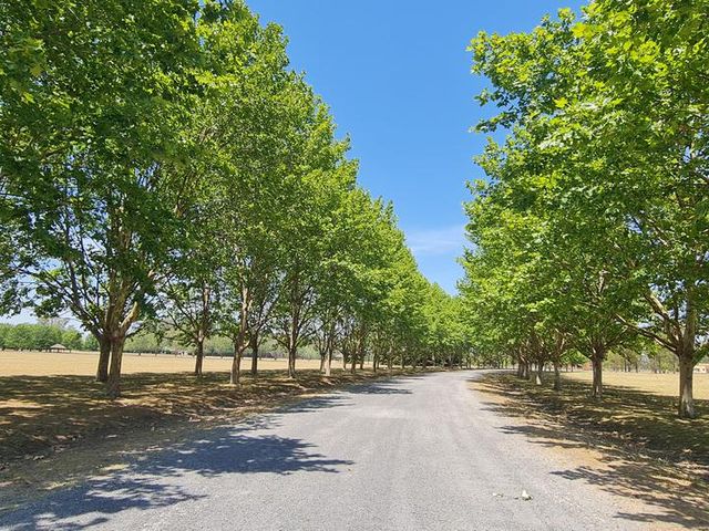place photo 18