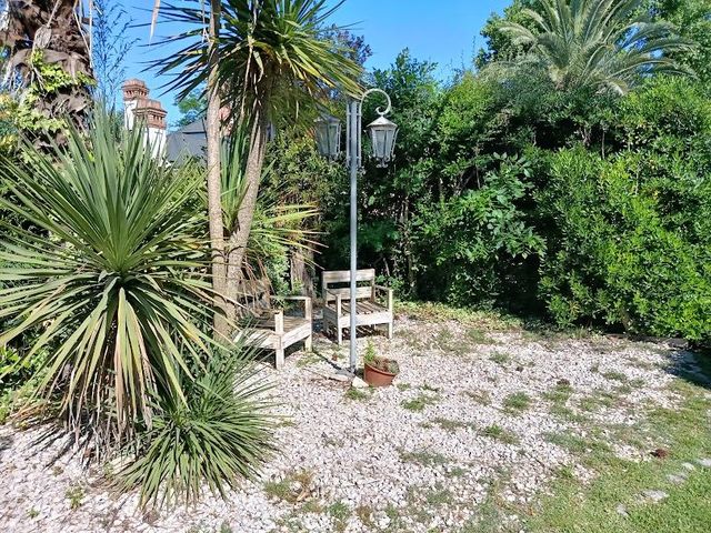 place photo 52