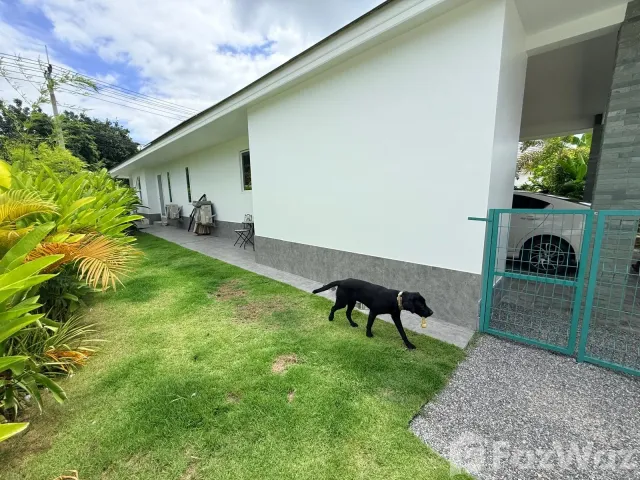 place photo 45