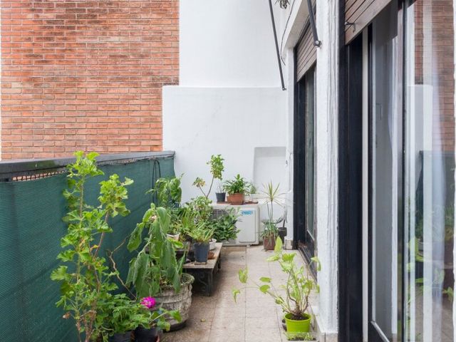 place photo 43