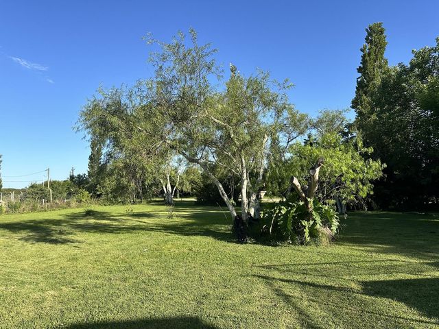 place photo 31
