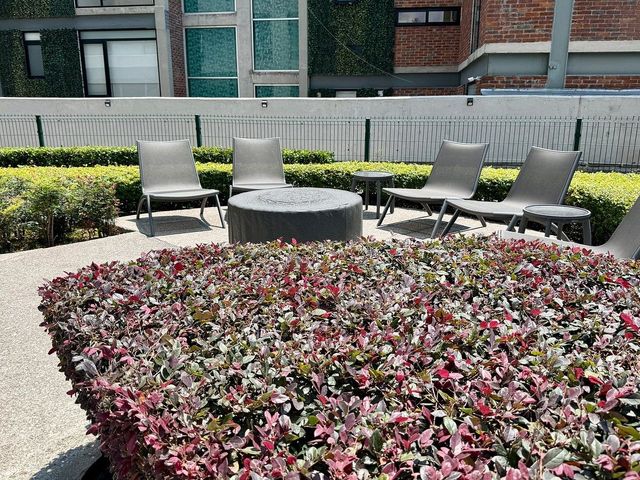 place photo 37