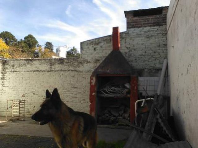 place photo 10