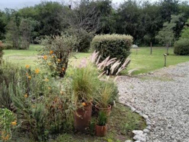 place photo 50