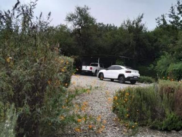 place photo 43