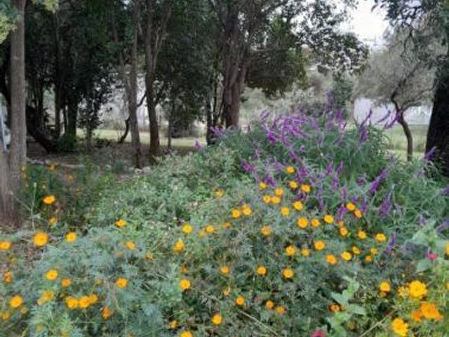 place photo 47