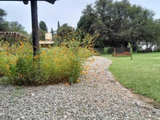 place photo 45