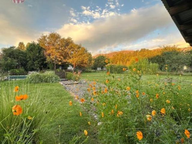 place photo 33
