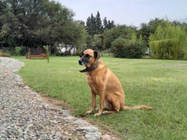 place photo 44