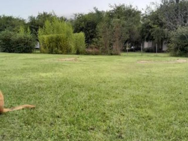 place photo 48