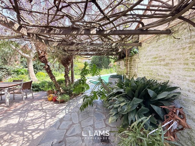 place photo 43