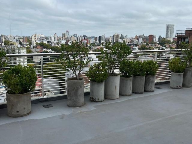 place photo 21