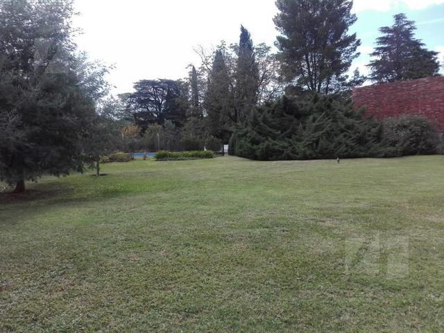 place photo 41