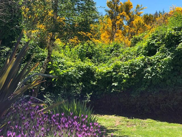 place photo 26