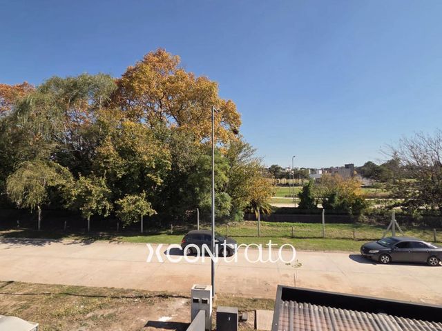 place photo 49