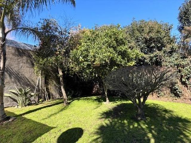 place photo 40