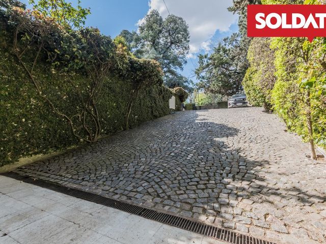 place photo 72
