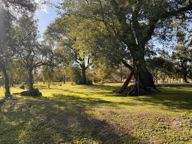 place photo 36