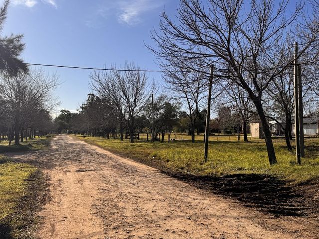 place photo 33