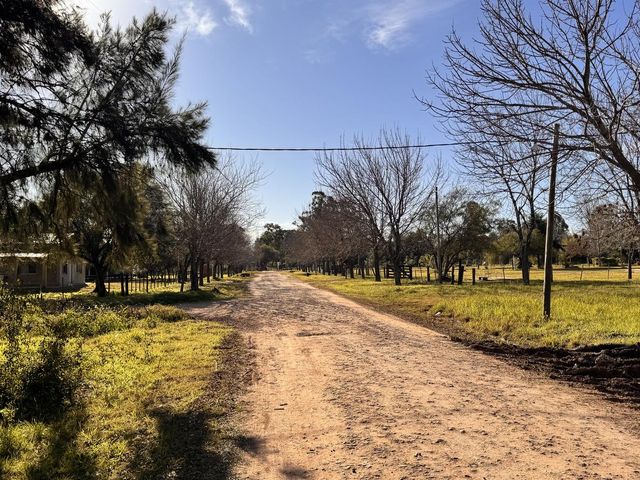 place photo 32