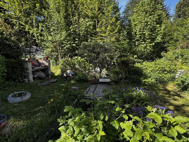 place photo 54