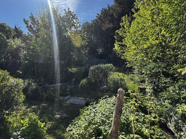 place photo 46