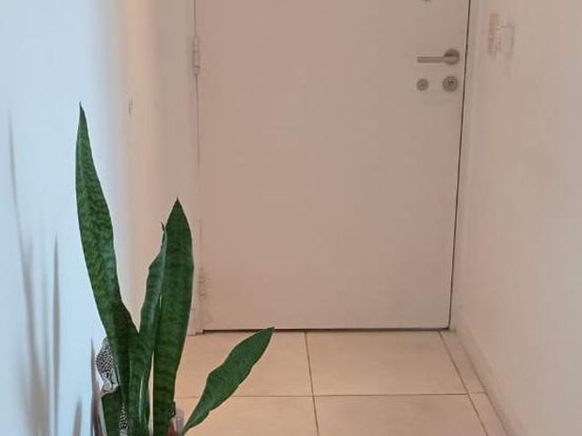 place photo 61
