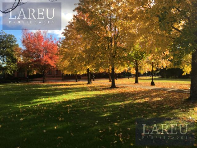 place photo 42